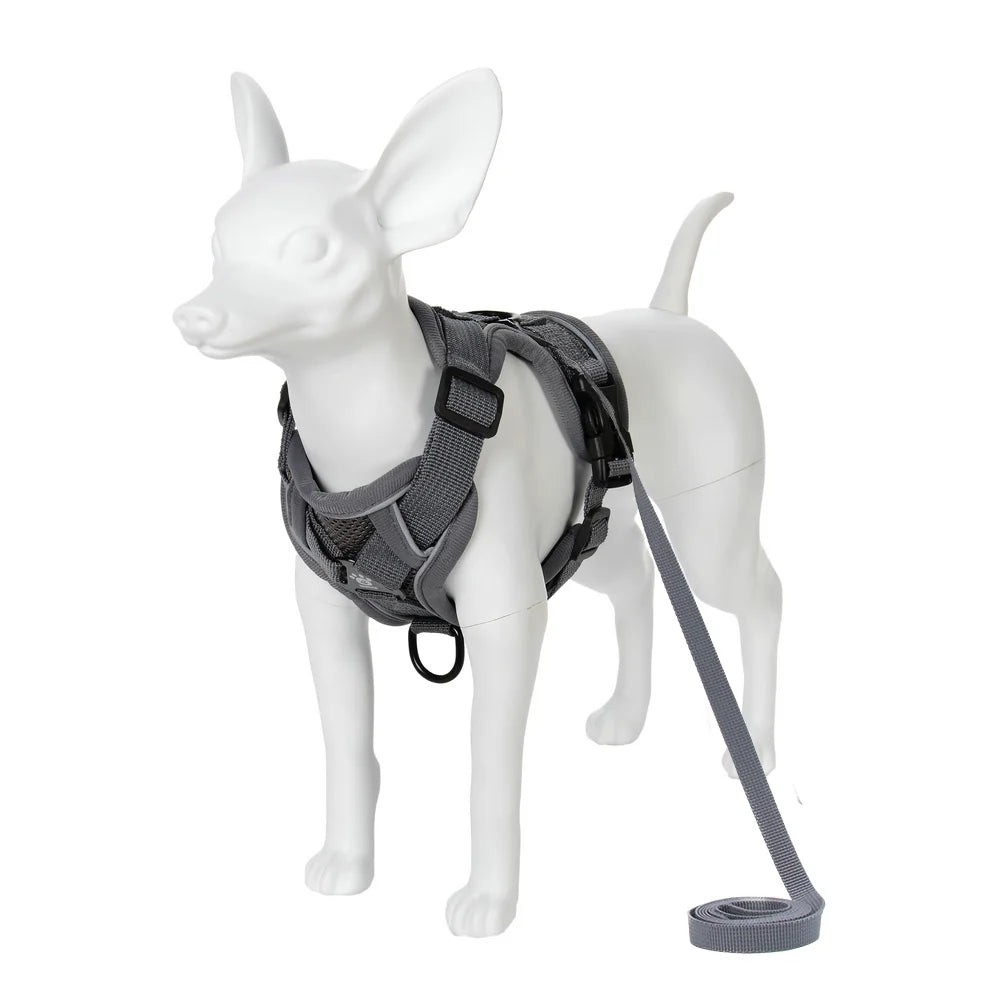 Adjustable Dog Harness Leash Set for Small Medium Dogs Cats Reflective Chest Strap Pets Harnesses Vest Outdoor Puppy Supplies