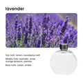 Automatic Fragrance Machine Diffuser Aromatherapy Machine USB Smart Air Purifier with Display LED Lighting