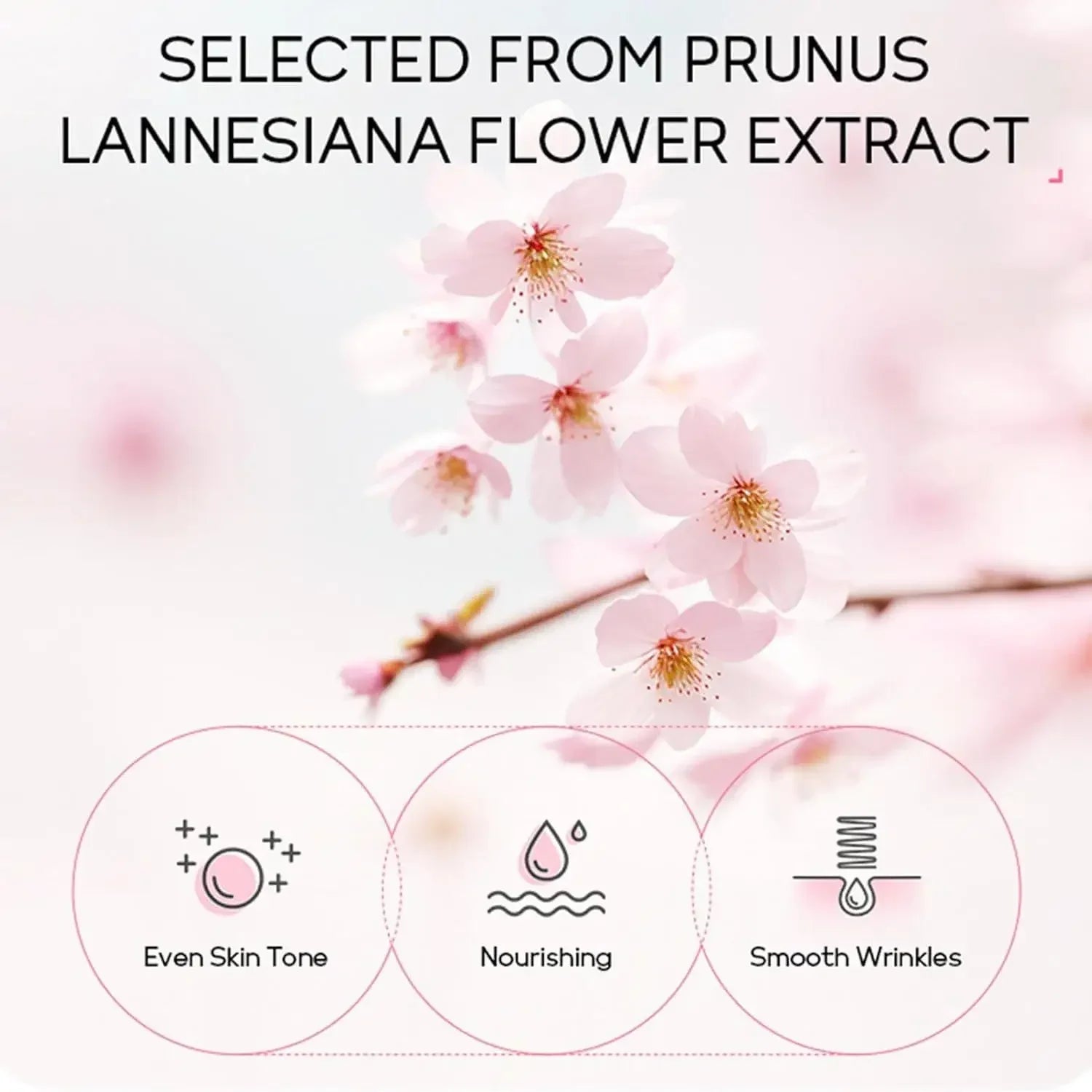 Sakura Skin Care Set Eye & Lip Masks Serum Nud Masks Cleanser Toner Essence Cream Moisturizing Smoothing Nourishing Beauty