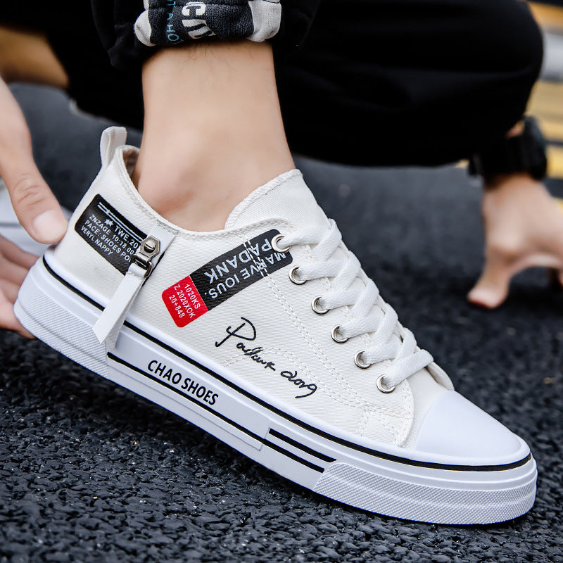 Mens Casual Everyday Canvas Shoes